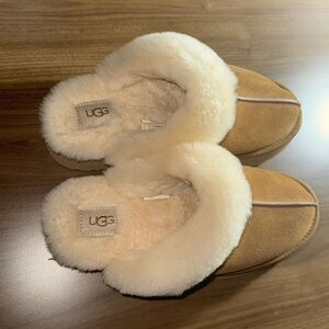 Women’s UGG Disquette Platform Clog - Chestnut